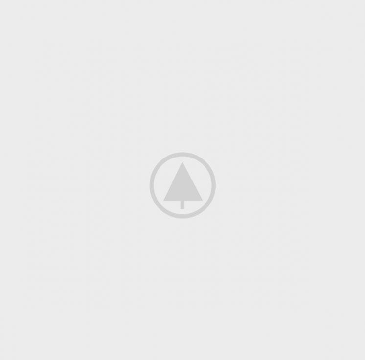 wood-gallery-placeholder-4 wood-gallery-placeholder-4